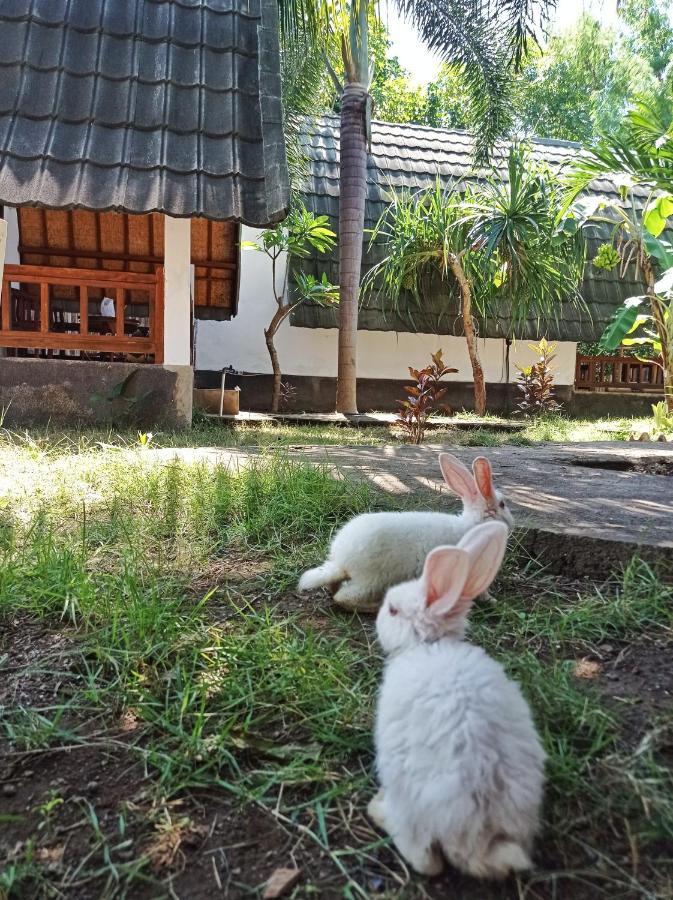 Follow The Rabbit Bungalow Gili Air Exteriér fotografie