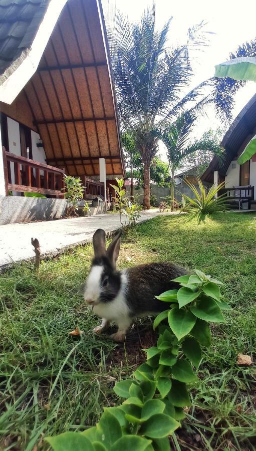 Follow The Rabbit Bungalow Gili Air Exteriér fotografie